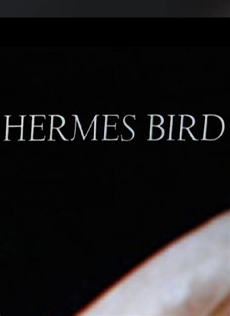 hermes bird 1979|Hermes Bird (1979): Where to Watch and Stream Online .